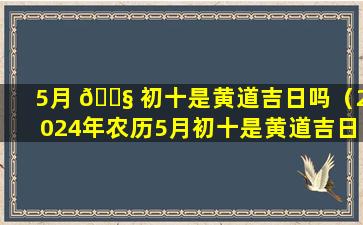 5月 🐧 初十是黄道吉日吗（2024年农历5月初十是黄道吉日吗）